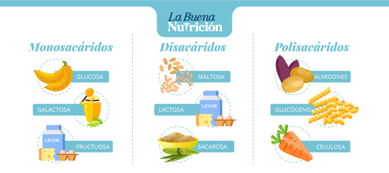 tipos de carbohidratos