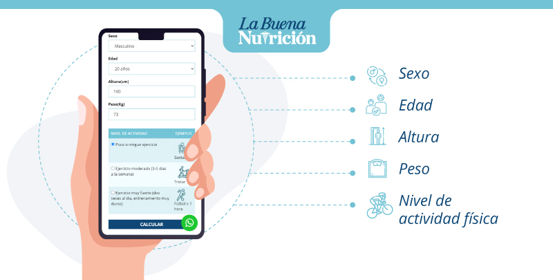 contador de calorías online