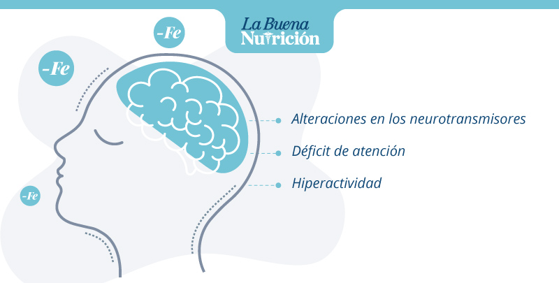 deficiencia de hierro