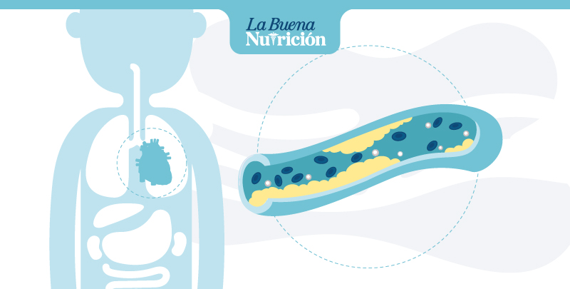 que es el colesterol