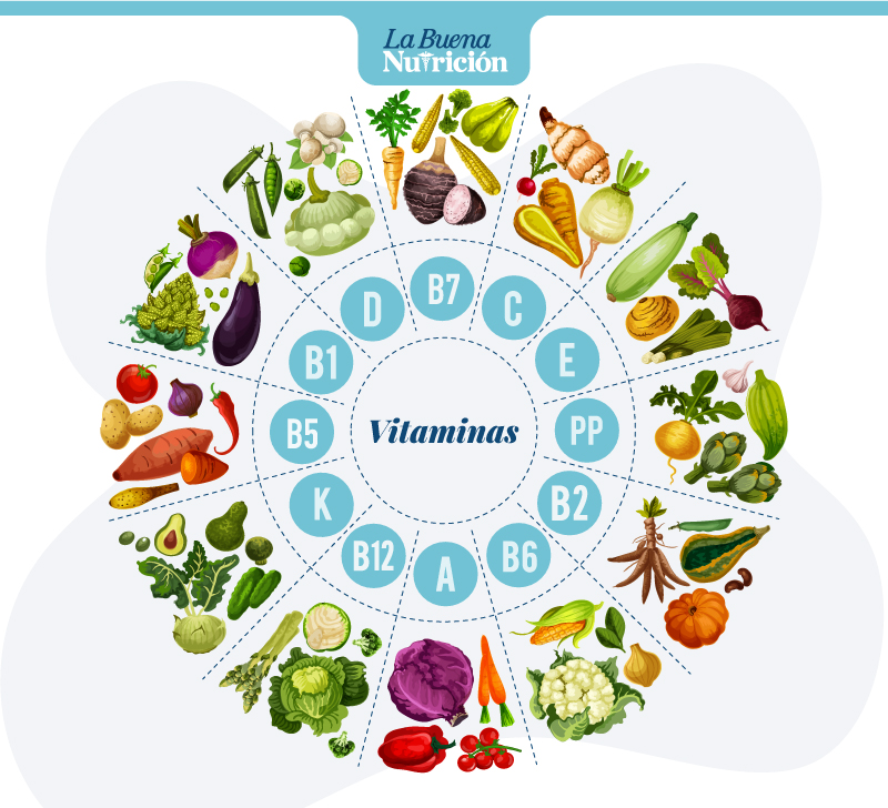 clasificacion vitaminas