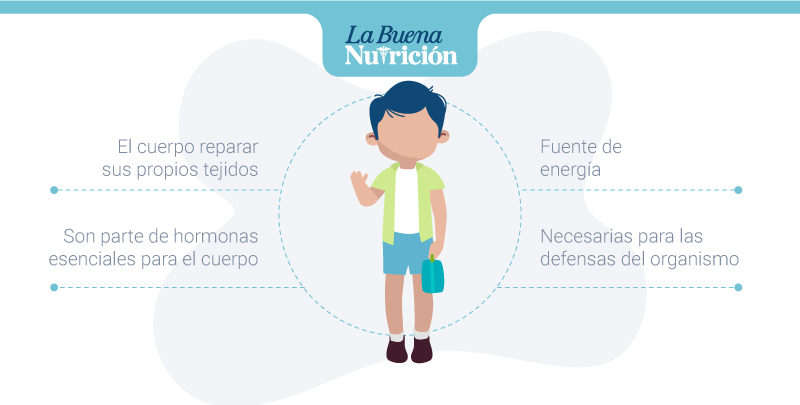 proteinas importancia