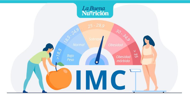 la obesidad y el sobrepeso