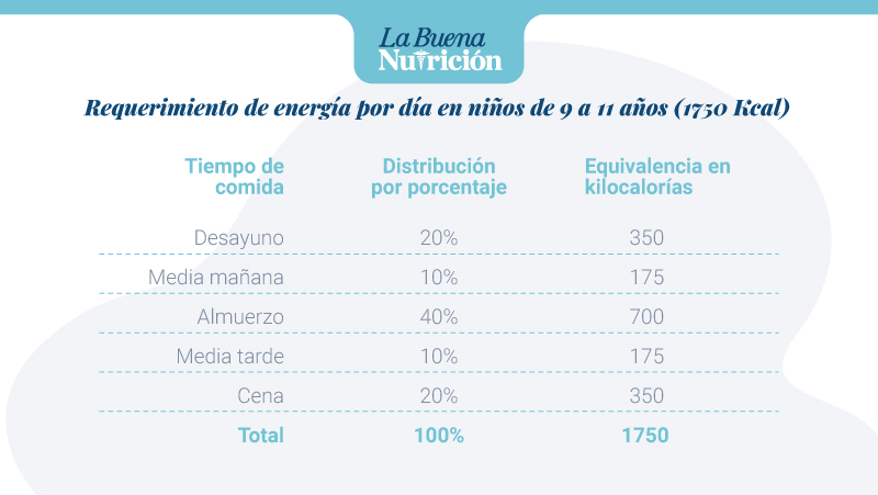requerimiento de energia