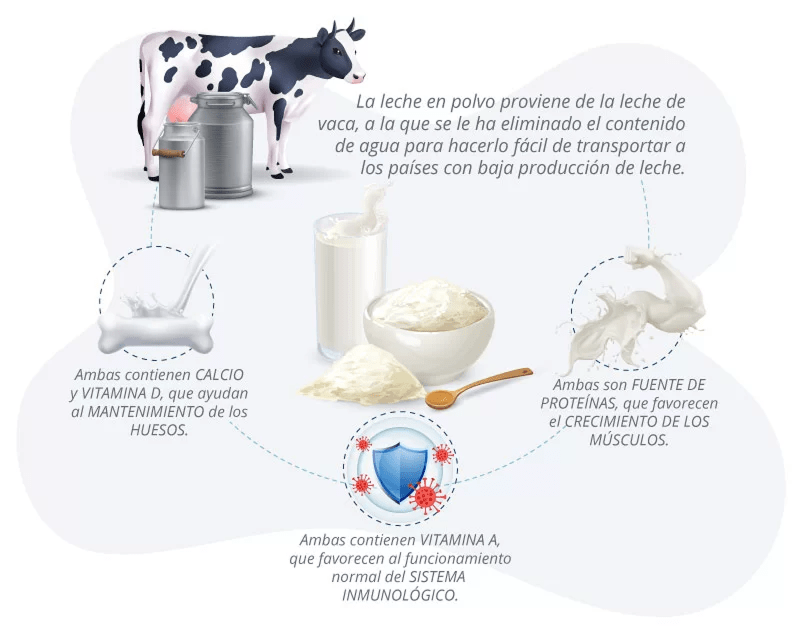 ¿Es la leche fresca más nutritiva que la leche en polvo?