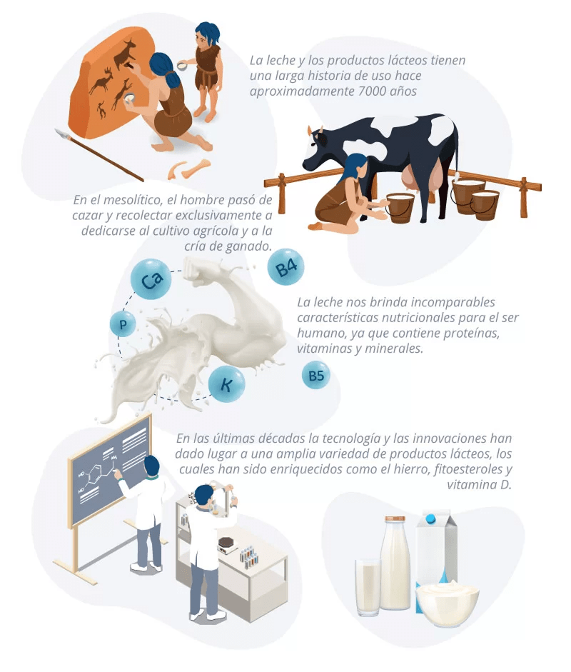 ¿La leche de vaca es para humanos?
